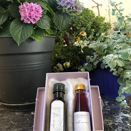 Lavender Cozy & Lovely 17 Daire