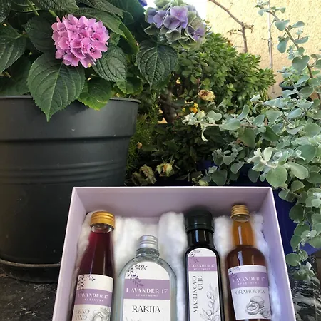 Daire Lavender Cozy & Lovely 17 *