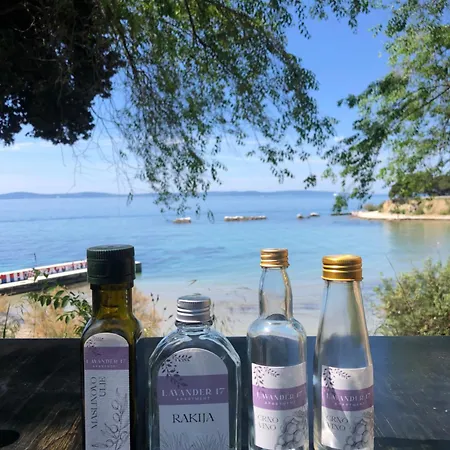 Lavender Cozy & Lovely 17 * Split