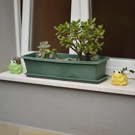 Lavender Cozy & Lovely 17 Appartamento *